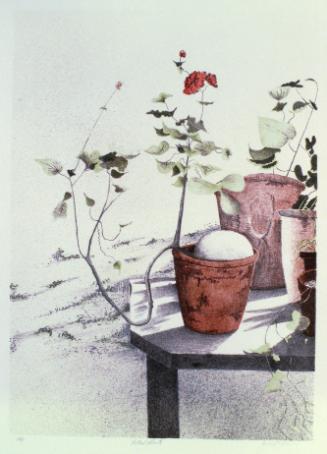 Potted Plants 1/95