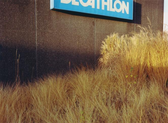 Decathlon